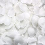 100 Pétales de Roses Décoration - Blanc
