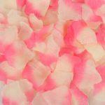 300 Pétales de Roses Décoration - Rose et Blanc de Lait