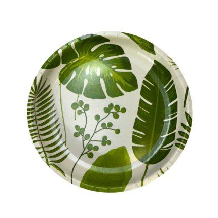 Assiettes Jetables en Carton 18cm - 20pcs