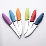 Ensemble Couteau à Dent 6pcs - Manche en Plastique