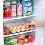 Boîte de Rangement pour 10 Oeufs – Image 2