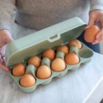 Boîte de Rangement pour 10 Oeufs