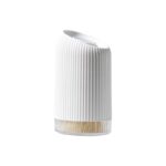 Cure-Dent en Bois